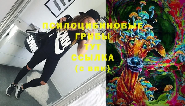 МДПВ Сатка