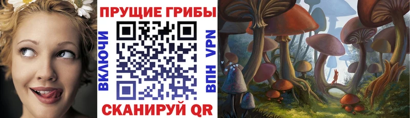 Галлюциногенные грибы мицелий  Купить закладки  Покровск 